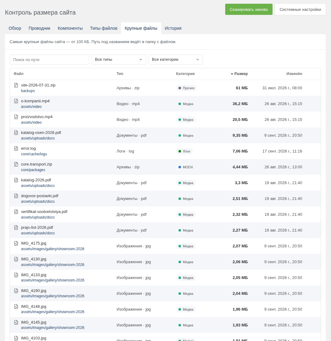 The Large files tab